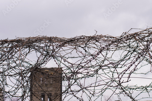 barbed wire on gray sky background photo