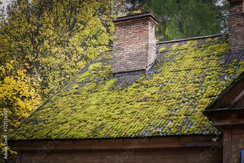 The roof surface of the house is overgrown with moss