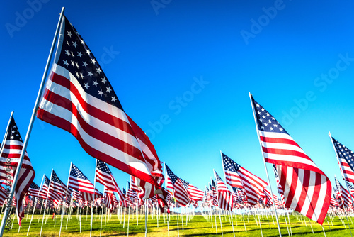 A large group of American flags. Veterans or Memorial day display