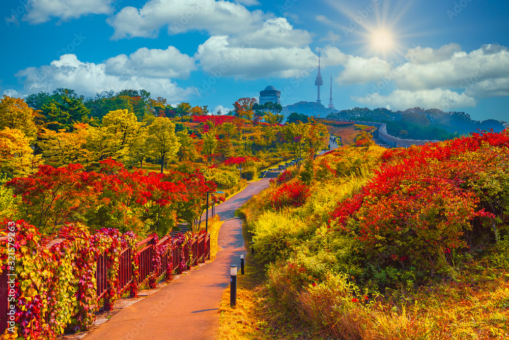 Fototapeta premium Namsan park at Autumn in Seoul,South Korea.
