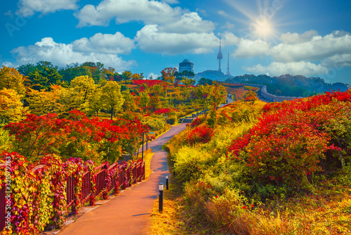 Namsan park at Autumn in Seoul,South Korea.