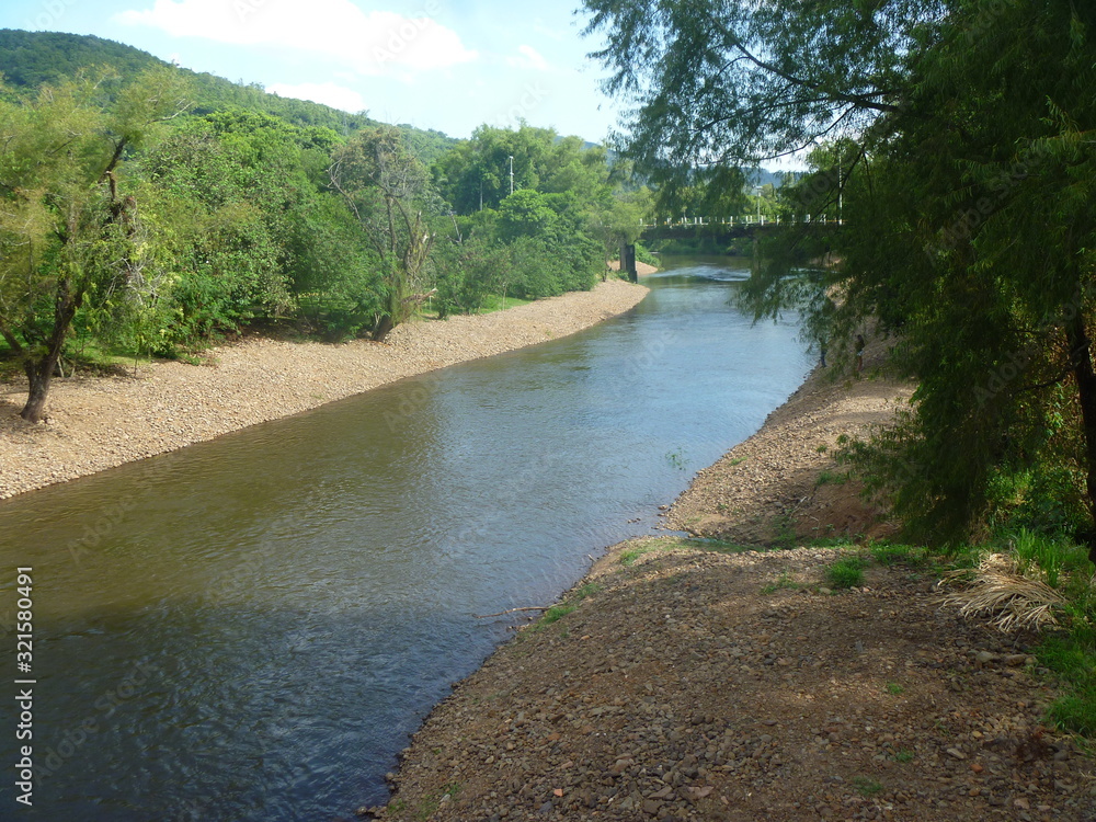 Fototapeta premium river in the forest