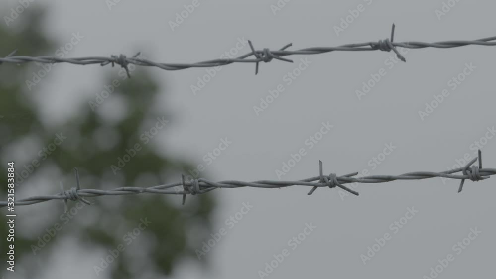 Extreme close up shot of barb wire fencing in front of an overcast sky Extreme close up shot of barb wire fencing in front of an overcast sky