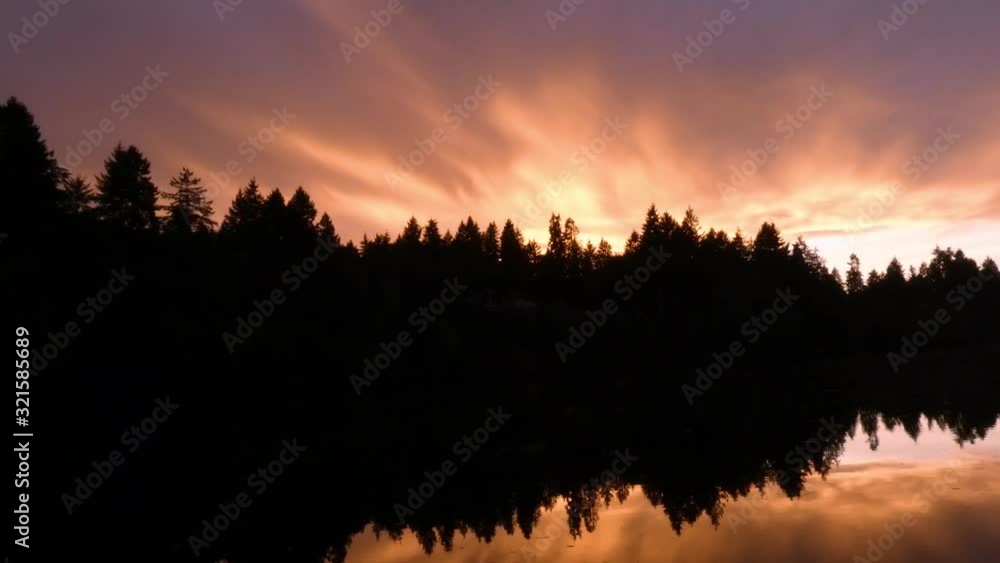 cormerant birds and sunset over trees and the water of the puget sound cormerant birds and sunset over trees and the water of the puget sound