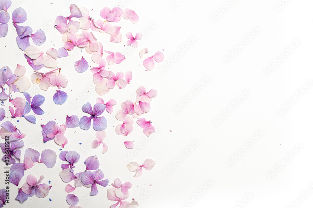 Abstract background with pink and purple flowers