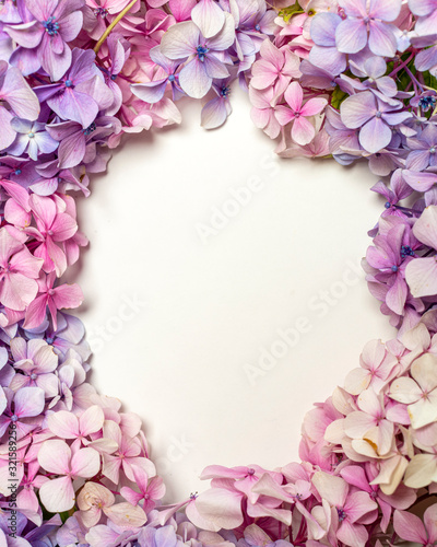 Frame created with pink and purple hydrangea flower petals isolated on a white background