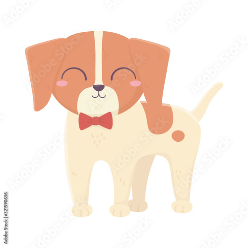 cute llittle dog standing wtih bow tie domestic cartoon animal  pets