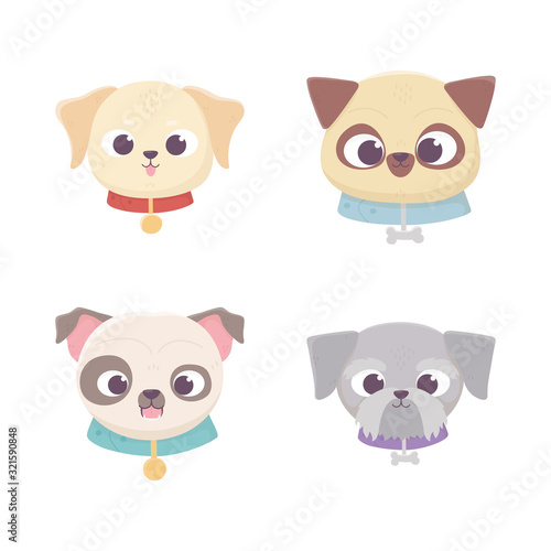 cute faces dog different pedigree domestic cartoon animal, collection pets
