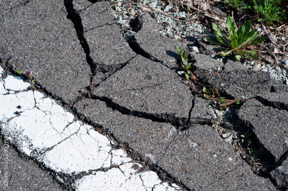 Obraz premium ひび