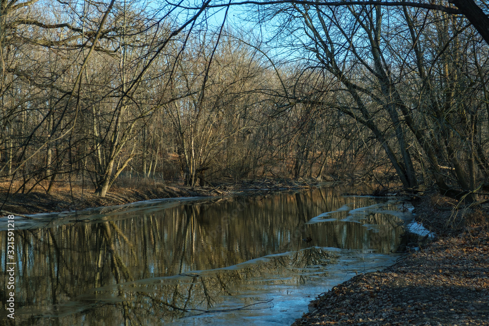 Obraz premium The North branch of Chicago River with ice forming at the banks. Trees reflecting in the water.
