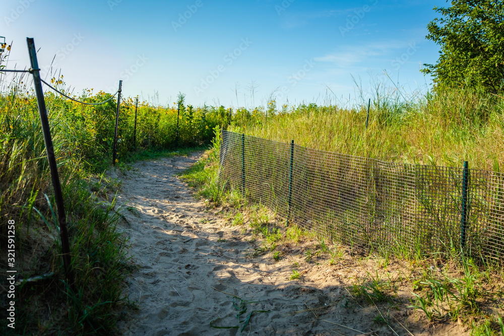 Low angle of a sand covered path between tall grasses seen in the early morning light on a clear day. Low angle of a sand covered path between tall grasses seen in the early morning light on a clear day.
