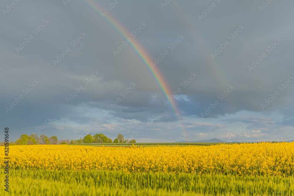 Naklejka premium Agricultural Growth -Various Fields - Agriculture Farming Field