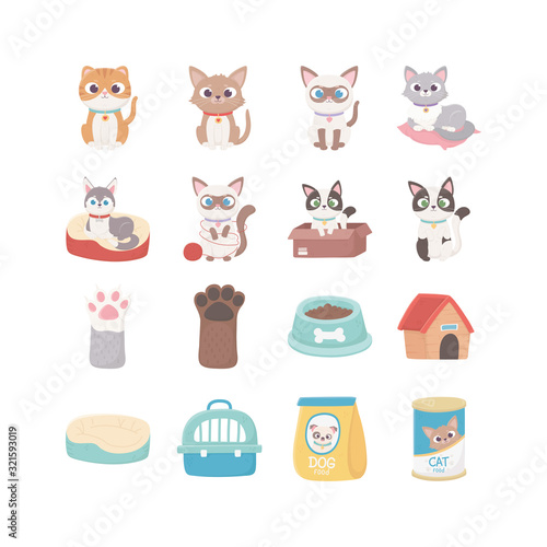 cats dog paw house food box ball, pets
