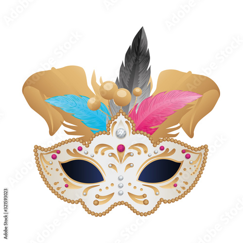 elegant mask with feathers isolated icon vector illustration design