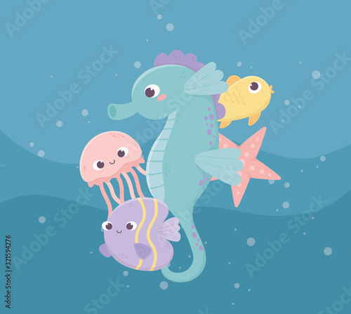seahorse jellyfish fishes starfish bubbles life cartoon under the sea