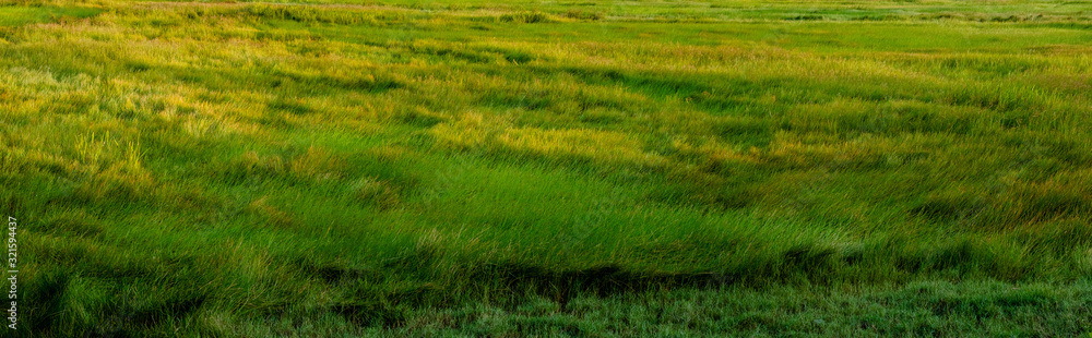 Grass field Panorama HDR Grass field Panorama HDR