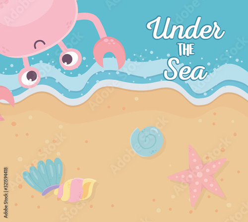 seashore sand crab starfish conch shells life cartoon under the sea