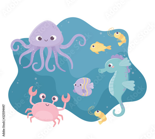 shrimp seahorse crab fishes octopus life cartoon under the sea