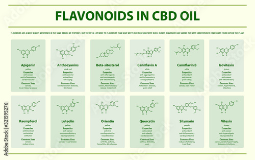 Flavonoids in CBD Oil with Structural Formulas horizontal infographic illustration about cannabis as herbal alternative medicine and chemical therapy, healthcare and medical science vector.