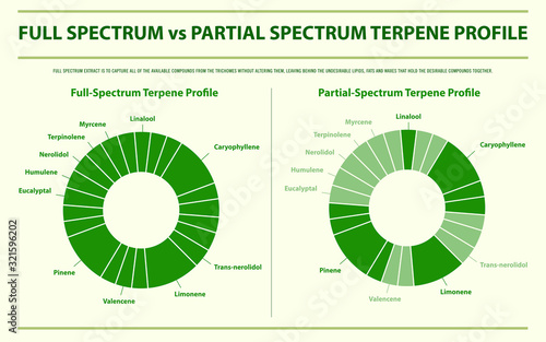Full Spectrum vs Partial Spectrum Terpene Profile horizontal infographic illustration about cannabis as herbal alternative medicine and chemical therapy, healthcare and medical science vector.