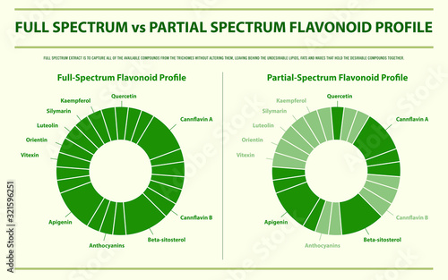 Full Spectrum vs Partial Spectrum Flavonoid Profile horizontal infographic iillustration about cannabis as herbal alternative medicine and chemical therapy, healthcare and medical science vector. photo