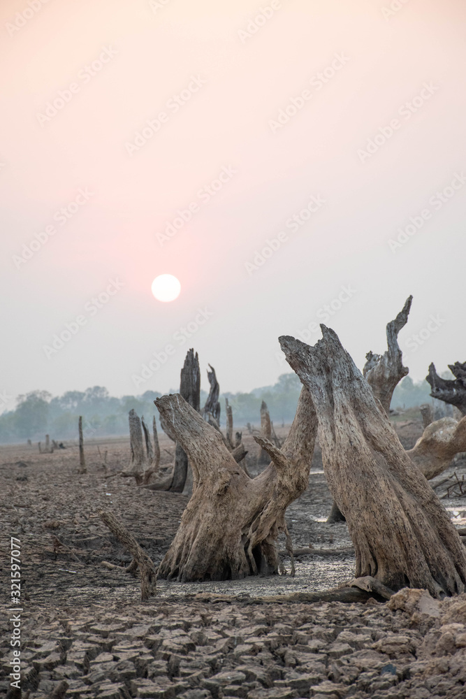 Obraz premium Drought and summer season, Hot landscape.