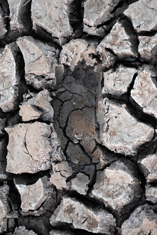 Fototapeta premium Drought and summer season, Hot landscape.