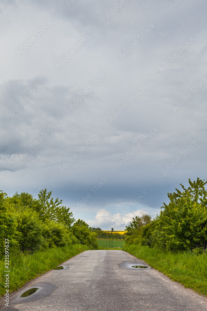 Agricultural Growth -Various Fields - Agriculture Farming Field