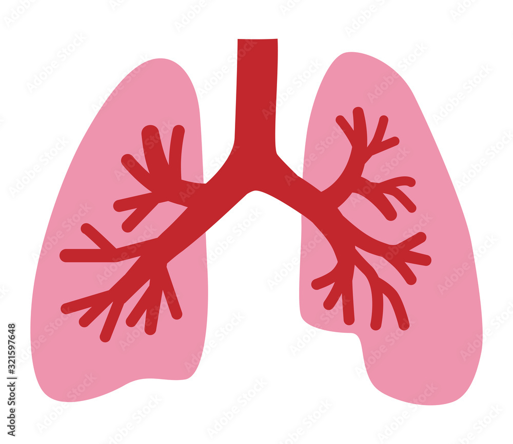 Fototapeta premium Human Lung icon