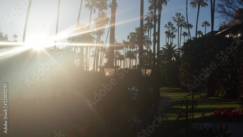 Beautiful street with palms, flowers and street lamps in Beverly Hills, California.