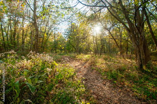 Louisville, Kentucky / United States - November 6, 2016: Caperton Swamp Park - Hiking on the trail