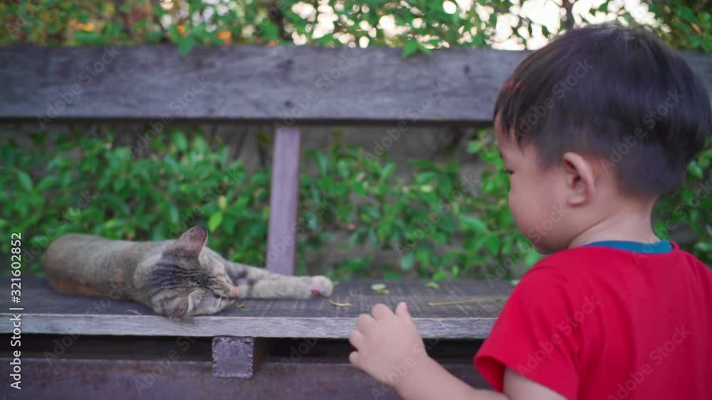 Adorable baby boy playing outdoor with little cat kitten under tree park boy with animal Adorable baby boy playing outdoor with little cat kitten under tree park boy with animal