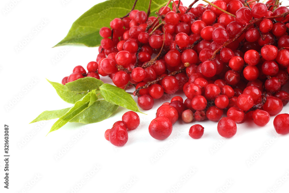 Schisandra Chinensis isolated on white Schisandra Chinensis isolated on white