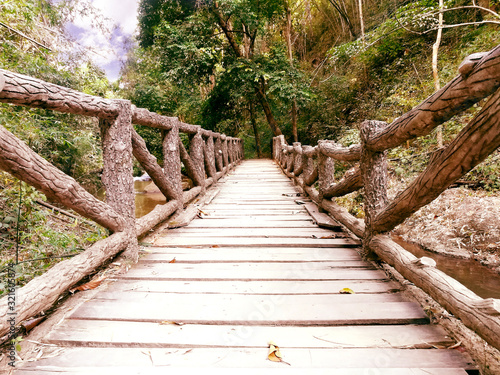 closeup wooden bridge in a natural park
