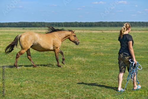 A horse walking across the field, a girl is walking nearby, a girl in defocus. © shymar27