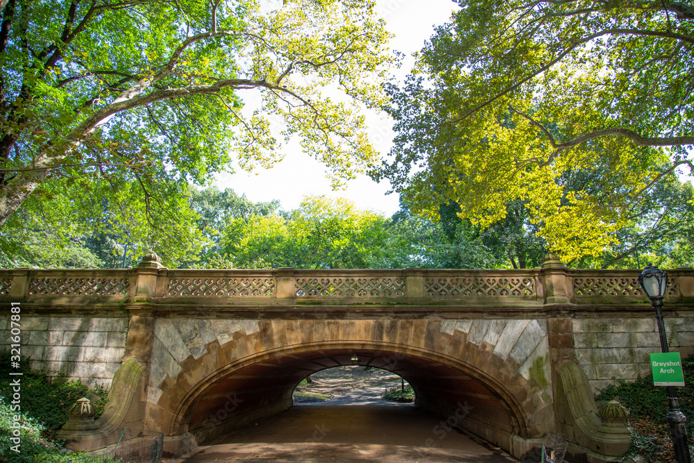 bridge in central park new york city with green trees bridge in central park new york city with green trees