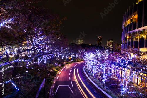 Canvas Print Tokyo light illumination..