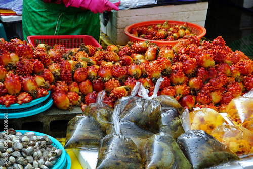 Korean seafood(Sea squirt and Sea cucumber) at Jagalchi seafood market Busan Korea photo