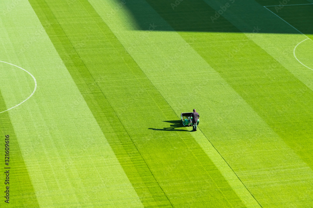 Fototapeta Person with pruner cutting the grass inside a football stadium