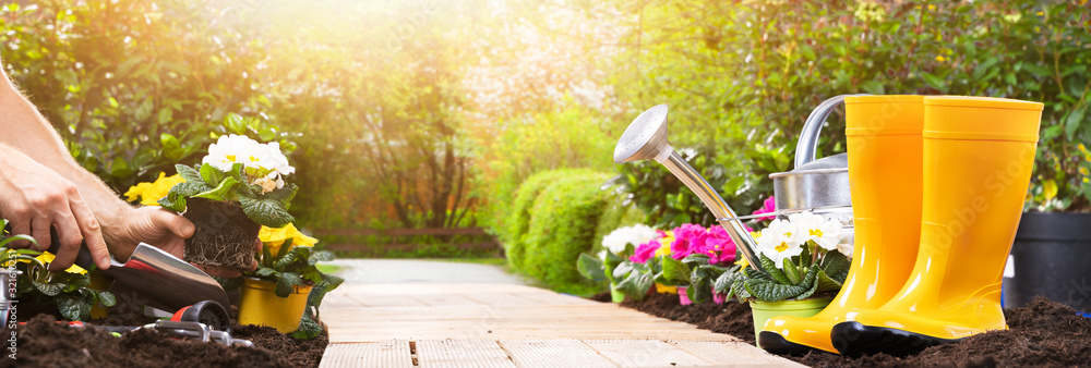 Fototapeta premium Gardening Tools Set And Flowers