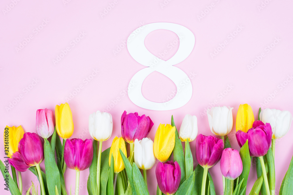 Closeup top above high angle view picture of composition of big number eight isolated over pink background and bright different colorful holland tulips