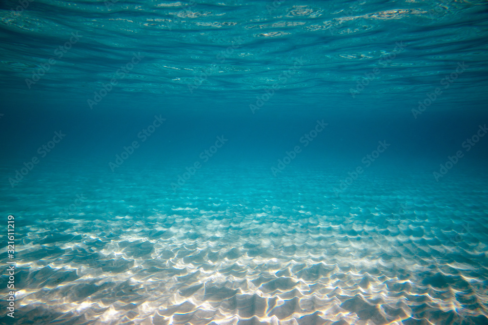 Empty underwater ocean bottom background with copy space