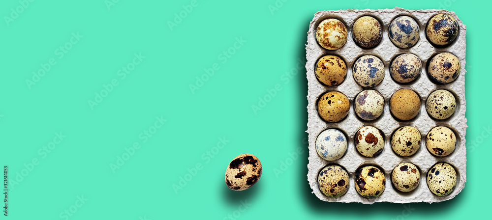 Fresh organic quail eggs in open cardboard packaging isolated on mint color background. Top view, copy space for text. Fresh organic quail eggs in open cardboard packaging isolated on mint color background. Top view, copy space for text.