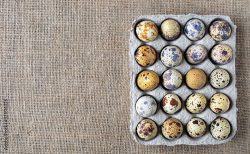 Fresh quail eggs in open cardboard packaging on flaxen background. Top view, copy space.