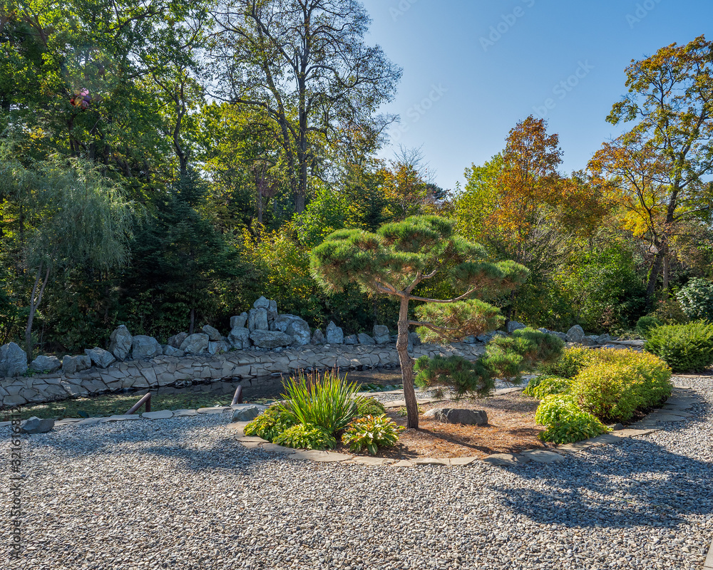 Obraz premium Bright autumn day in the botanical garden, trees and a small pond