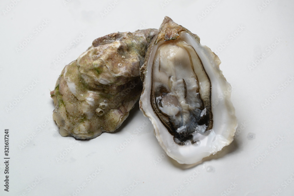 open oyster on a white background option 4 open oyster on a white background option 4
