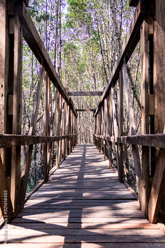 The background image of a wooden bridge in a beautiful mangrove forest The background image of a wooden bridge in a beautiful mangrove forest