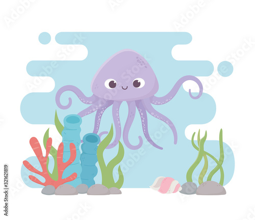 octopus seashell stones life coral reef cartoon under the sea
