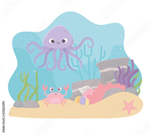 octopus crab starfish life coral reef cartoon under the sea