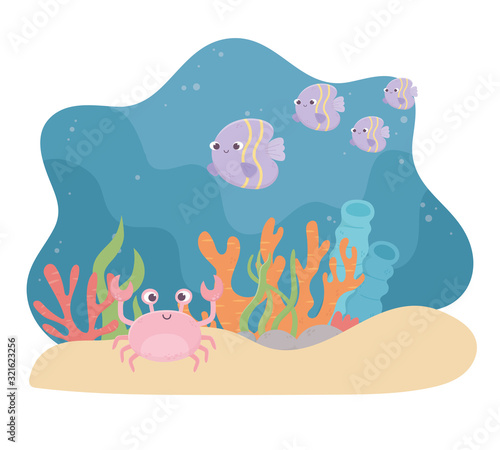 crab fishes life sand coral reef cartoon under the sea